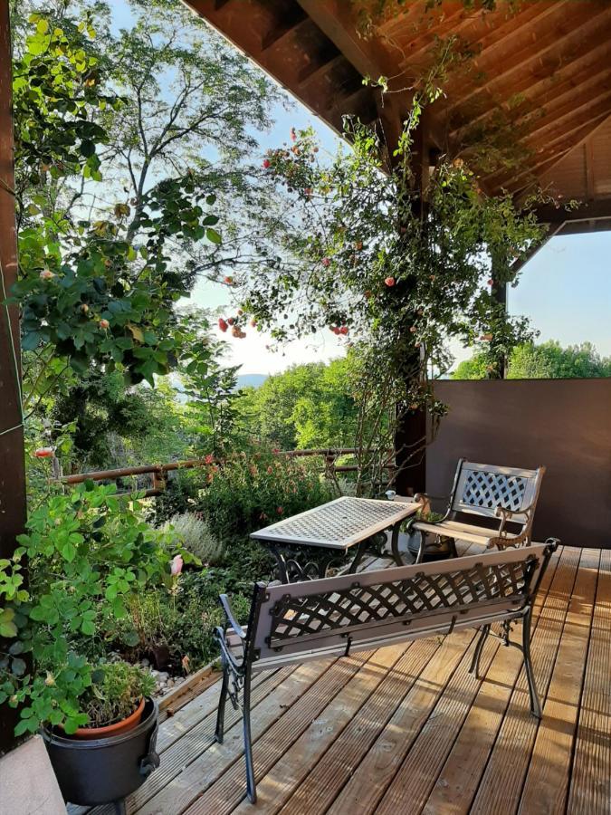 Le Grand Noyer Bed and Breakfast Ambronay Εξωτερικό φωτογραφία